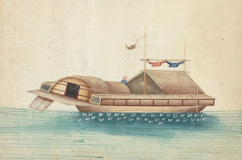 Anonymous - Duck junk. Ducks are hatched on board by ovens, ducks always follow the junk and come on board at night for protection
