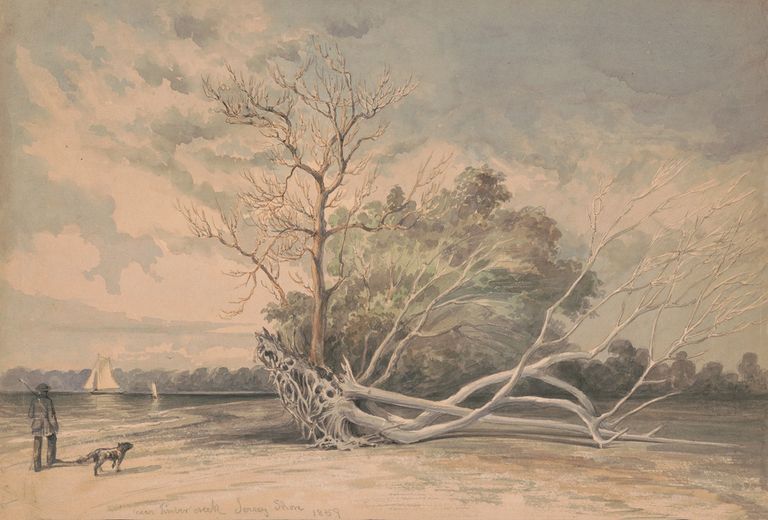 James Fuller Queen - Near Timber Creek, Jersey shore