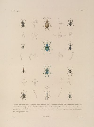 Voyage autour du monde Pl.071