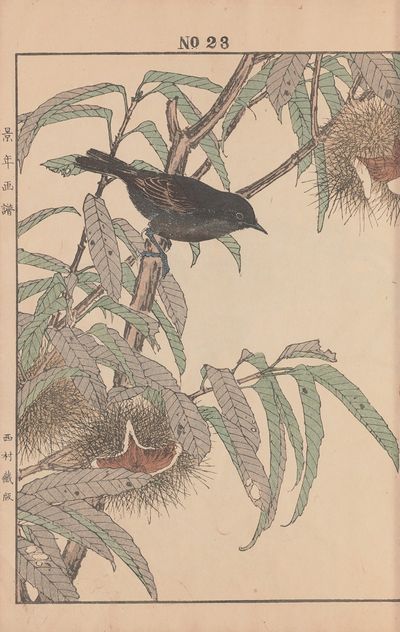 Keinen kachō gafu Pl.025