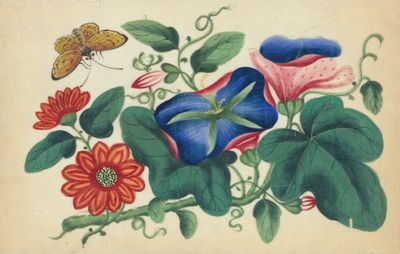 Flowers and butterfly.