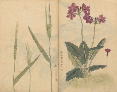 Sketchbook Pl.073