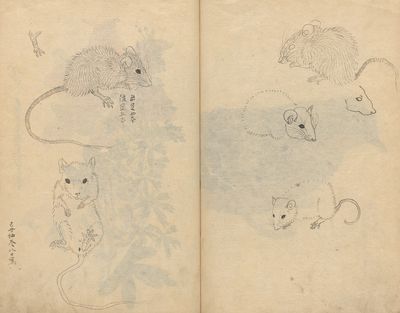 写生集 Pl.092