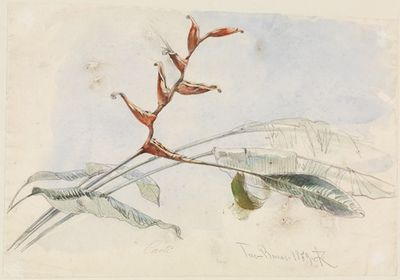 Blühender Kaktus bei Tres Barras