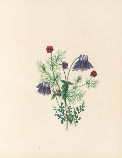 花卉盛会 Pl.05