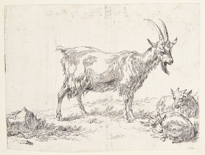 站立的山羊和两只山羊