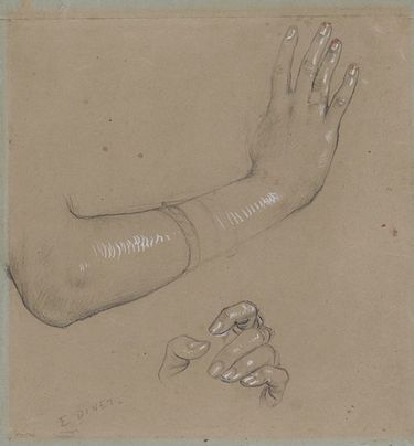 手和手指的研究