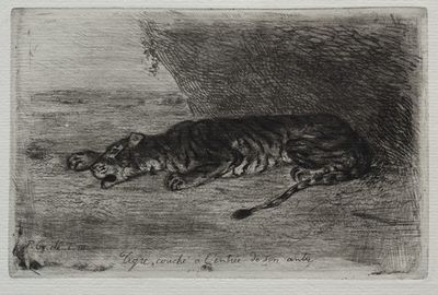 Tiger Sleeping at the Entrance to His Lair