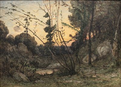 日落时分的一片空地