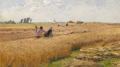 莱茵河下游的收获地