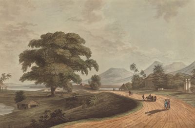 马尔堡，来自苏门答腊岛老班库伦，1799年