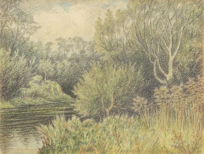 无题。[柳树河畔]