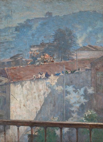 我工作室里的鸽子