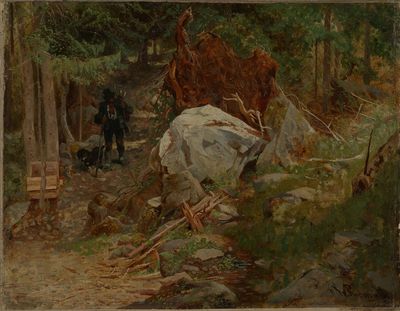 在Val Pusteria Taufers附近的森林里