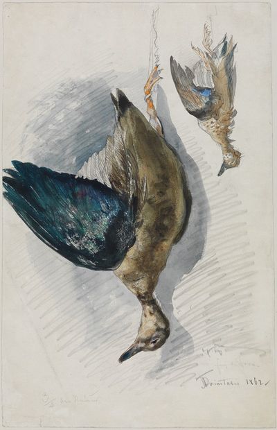 关于一只鸟的两项研究